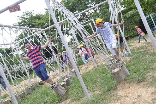 豐高團(tuán)體出游