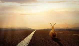 南海豐高印刷：中國印刷城的自我救贖  觸網(wǎng)實現(xiàn)1天300萬交易