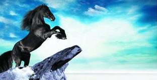 不看后悔，印刷廠2016取得業(yè)績(jī)突破的四個(gè)關(guān)鍵點(diǎn)！