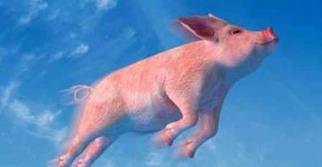 行業(yè)熱評(píng)：包裝印刷廠需要的不是抓緊趨勢(shì)，而是創(chuàng)造趨勢(shì)！